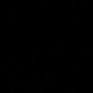 Meet your Posher, Frances